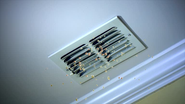 Best Local Air Duct Cleaning Services  in Albany, LA
